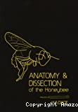 Anatomy and dissection of the honeybee