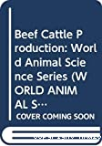 Beef cattle production