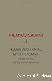 Human and animal mycoplasmas