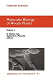 Molecular biology of woody plants