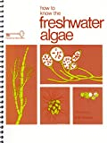 How to know the freshwater algae
