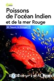 Poissons de l'océan indien et de la mer rouge