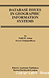 Database issues in geographic information systems