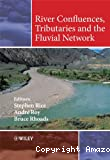 River confluences, tributaries and the fluvial network