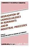 Degradation of lignocellulosics in ruminants and in industrial processes
