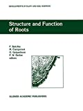 Structure and function of roots