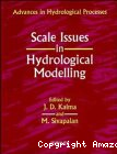 Scale issues in hydrological modelling