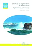 L'étain et les organoétains en milieu marin. Biogéochimie et écotoxicologie (version révisée)