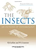 The insects: an outline of entomology