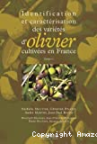 Identification et caractérisation des variétés d'olivier cultivées en france. Tome 1