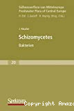Süsswasserflora von Mitteleuropa. Vol. 20 : schizomycetes bakterien