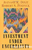Investment under uncertainty