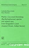 Marine Cocconeis Ehrenberg (Bacillariophyceae) species and related taxa from Kerguelen's Land (Austral Ocean, Indian sector)