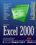 Microsoft Excel 2000