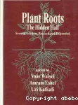 Plant Roots. The Hidden Half