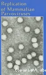 Replication of mammalian parvoviruses