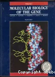 Molecular biology of the gene. 1 - General principles