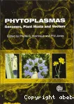 Phytoplasmas. Genomes, plant hosts and vectors