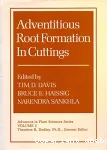 Adventitious root formation in cuttings