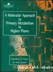 A molecular approach to primary metabolism in higher plants