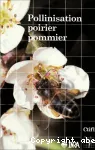 Pollinisation poirier pommier