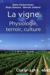 La vigne