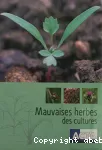 Mauvaises herbes des cultures