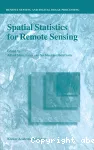 Spatial statistics for remote sensing