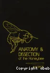 Anatomy and dissection of the honeybee