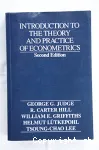 Introduction to the theory and practice of econometrics