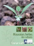 Mauvaises herbes des cultures