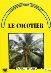 Le cocotier