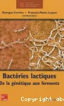 Bactries lactiques