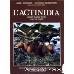 L'actinidia (kiwi yang tao): sa culture