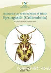 Illustrated key to the families of British springtails (Collembola)