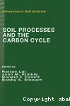 Soil processes and the carbon cycle