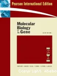 Molecular biology of the gene