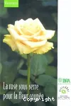 La rose sous serre pour la fleur coupe