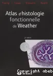 Atlas d'histologie fonctionnelle de Wheater