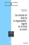 Les mondes du droit de la responsabilit : regards sur le droit en action