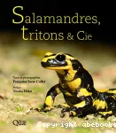 Salamandres, tritons et cie