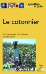 Le cotonnier