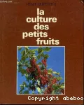 La culture des petits fruits