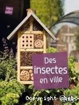 Des insectes en ville