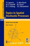 Topics in spatial stochastic processes