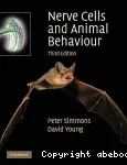 Nerve cells and animal behaviour