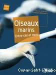 Oiseaux marins : entre ciel et mers