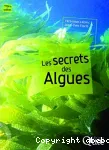 Le secret des algues