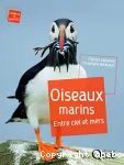 Oiseaux marins : Entre ciel et mers