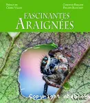 Fascinantes araignes